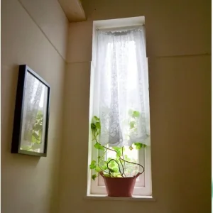 2 Bed Semi-Detached House with Garden and Parking - Image 8