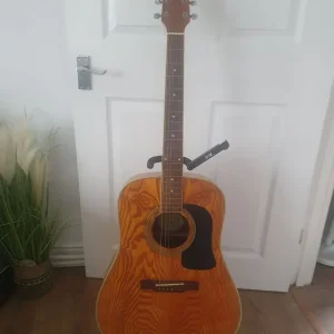 Washburn D11 acoustic guitar