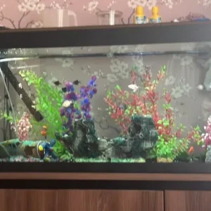 4ft fish tank - Image 2