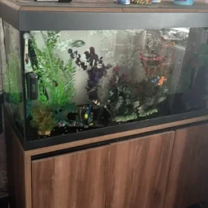 4ft fish tank - Image 3