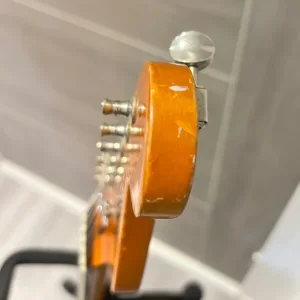 Richwood Electric Guitar - Image 7