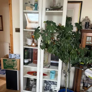 IKEA Billy units and CD towers