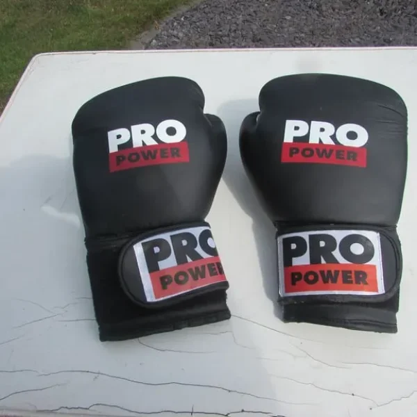 Pro Power Sparring Gloves