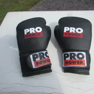 Pro Power Sparring Gloves