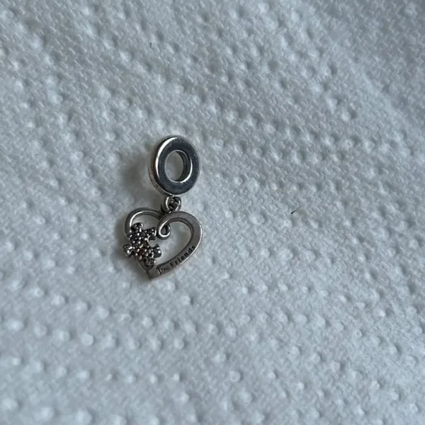 Pandora true friends puzzle charm