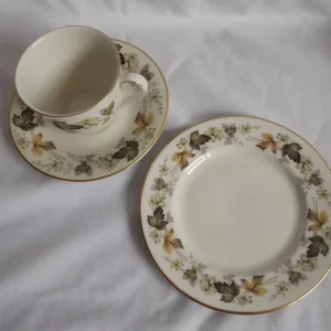 Vintage Royal Doulton Larchmont Tea Set – Teapot, Sugar, Milk Cups and Saucers - Image 8