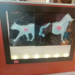 Vet clinic from our generation - Image 5