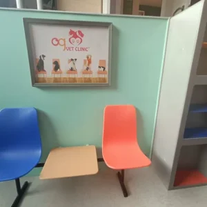 Vet clinic from our generation - Image 7