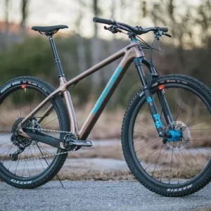 Santa Cruz Chameleon C 29er Hardtail Carbon Bike