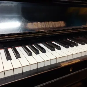 Bechstein Model 8 Upright Piano Ebonized - Image 5