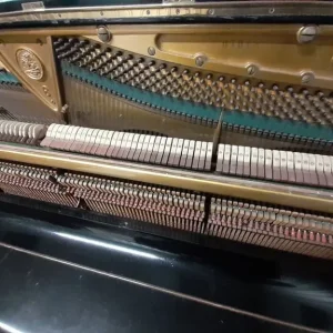 Bechstein Model 8 Upright Piano Ebonized - Image 7
