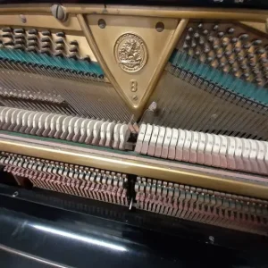 Bechstein Model 8 Upright Piano Ebonized - Image 8