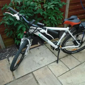 24 speed mountain bike with electric assist and disc brakes