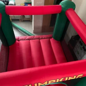 Jumping bounce house bouncy castle