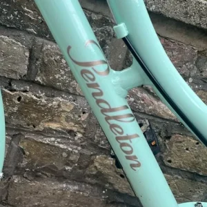 Girl’s Pendleton Bike 24” - Image 5