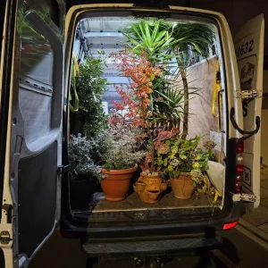 man with a van for moves and transport - Image 7