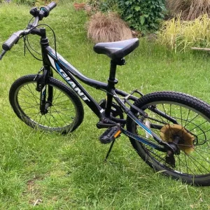 Giant Revel Jr boys 20” 2013 - Image 2