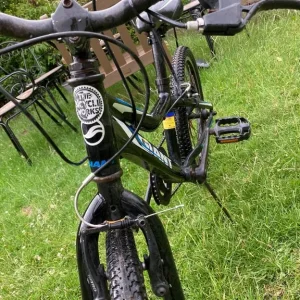 Giant Revel Jr boys 20” 2013 - Image 3