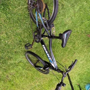 Giant Revel Jr boys 20” 2013 - Image 4