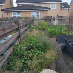 Gardener - Image 3