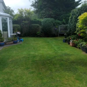 Gardener - Image 5