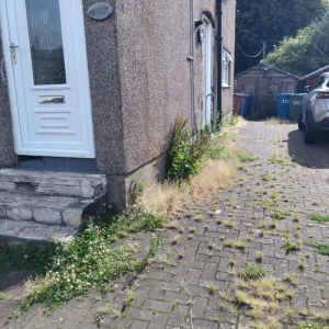 Gardener - Image 7