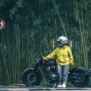 Napoleon Bobber 500 V2 Bobber Cruiser - Image 4