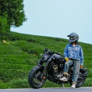 Napoleon Bobber 500 V2 Bobber Cruiser - Image 6