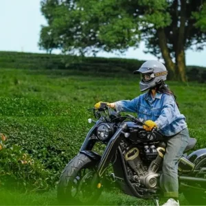 Napoleon Bobber 500 V2 Bobber Cruiser - Image 7