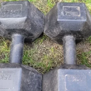 Dumbbells and Medicine Ball - Image 3