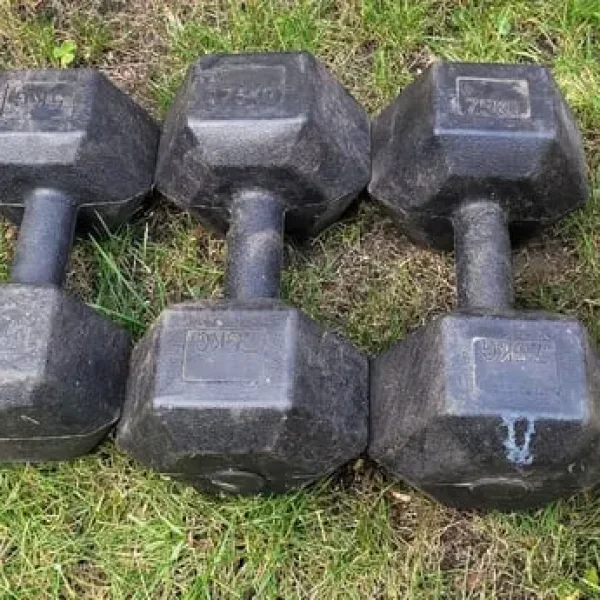 Dumbbells and Medicine Ball