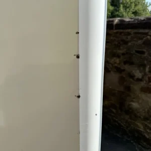 Tall Larder Fridge - Image 4