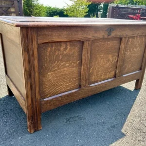 Antique Oak Panelled Blanket Chest - Image 3