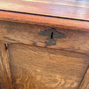 Antique Oak Panelled Blanket Chest - Image 4