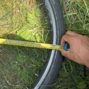 Bike - Image 2