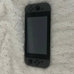 nintendo switch grey edition