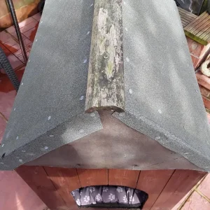 Dog kennel - Image 3