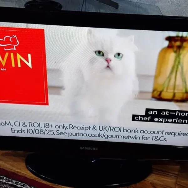 Samsung 32in Freeview LE32C45 TV with remote and manual