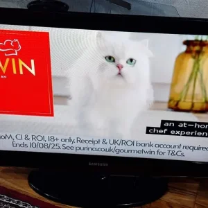 Samsung 32in Freeview LE32C45 TV with remote and manual