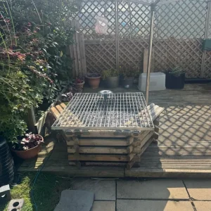 Pond water feature - Image 2