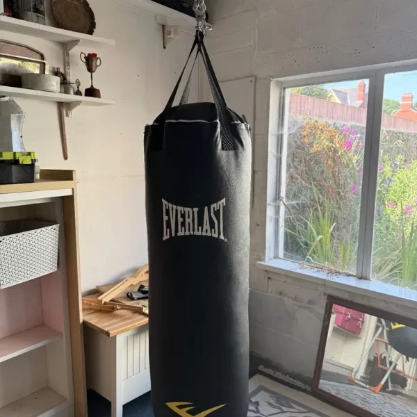 Everlast Punching/ Kickboxing Bag