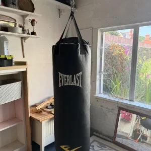 Everlast Punching/ Kickboxing Bag