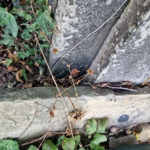 Yorkshire stone paving slabs - Image 5