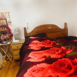 Spacious double and single room to rent