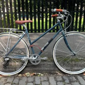 Temple Bicycle Women's 18" frame - Image 2