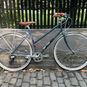 Temple Bicycle Women's 18" frame - Image 3