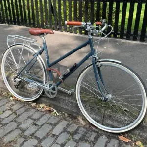 Temple Bicycle Women's 18" frame - Image 4