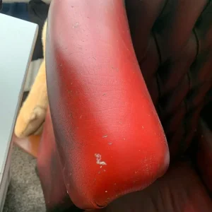 Chesterfield wing back chair ox blood colour - Image 3