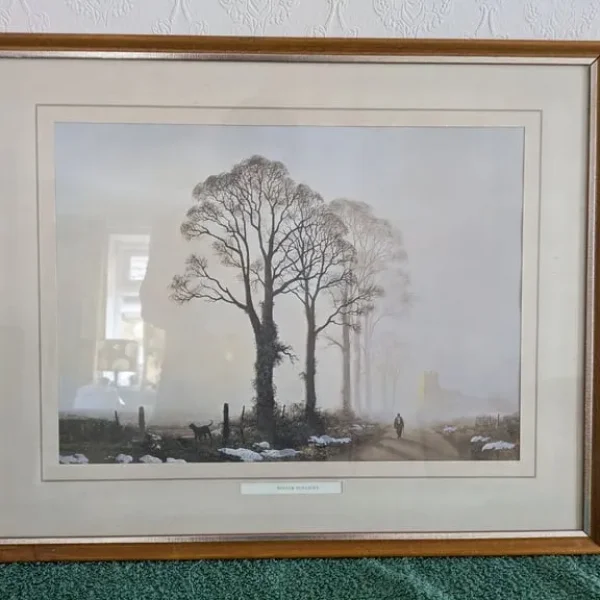 Winter Sunlight