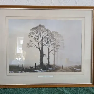 Winter Sunlight